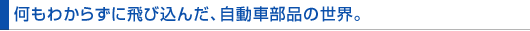 킩炸ɔэ񂾁Aԕi̐EB
